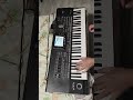 KorgStyle- Падает Снег Korg Pa3X