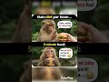😂😂 #trending #funny #viral #shots