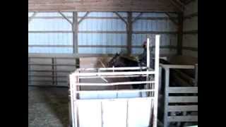 Hemi 2 008.avi