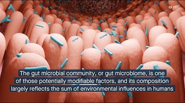 Developing a tool to determine gut microbiome differences that contribute to health disparities