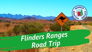 🚙 Flinders Ranges Road Trip ~ Discover South Australia