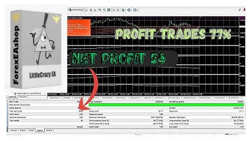 LittleCrazy EA MT4 v1.12 | High-Frequency Grid + Scalping Forex Robot | Prop Firm Safe