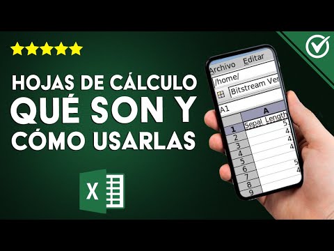 HOJAS de CÁLCULO: ¿Qué son, cuál es su función, cómo usarlas y qué programa usar?