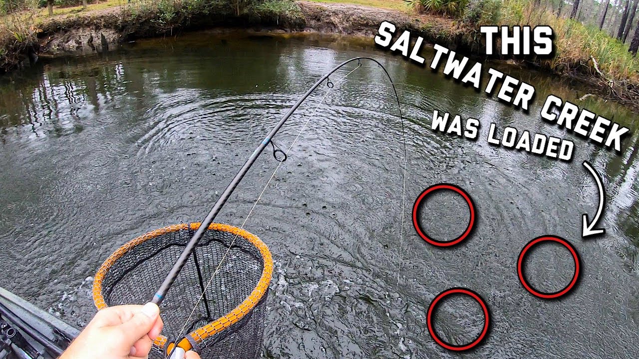 This SALTWATER CREEK was holding NICE FISH Alabama Saltwater Kayak