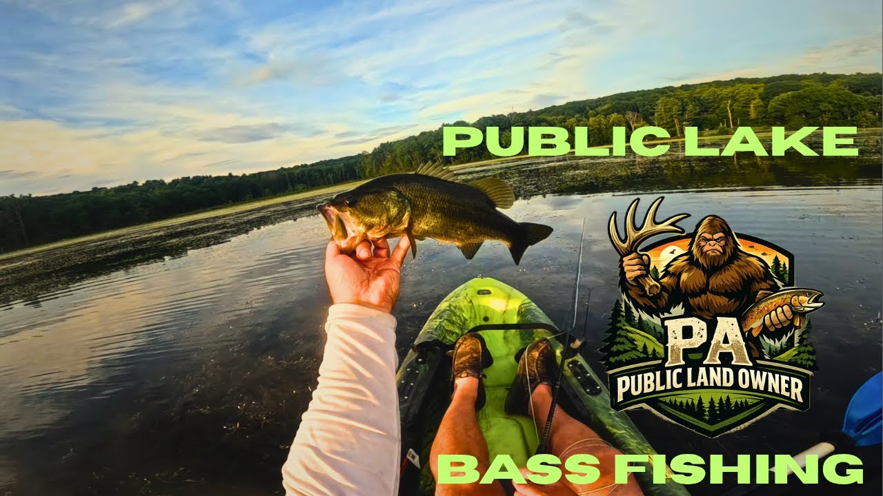 Summer Bass Fishing: Small Lake, Lots of Bass