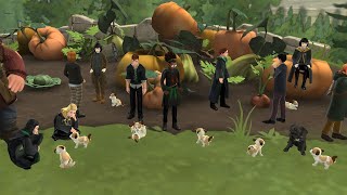 Download lagu Puppy Dog Tales | Year 3 Side Quest | Harry Potter Hogwarts Mystery | Zeny Plays