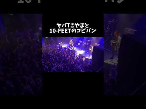 「river（カヴァー）」10-FEET@名古屋ボトムライン2024/7/10  #バックドロップシンデレラ #ヤバT