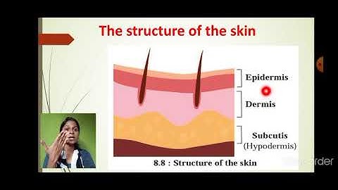 Class_6_Science_Chapter_8_Our_skeletal_system_and_the_skin_part_5