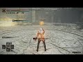 ELDEN RING Me and Sam, United Combat, Arena,