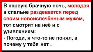 Молодая жена разделась перед своим мужем... Анекдоты! Юмор! Позитив!