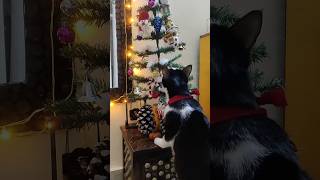 Macrame Boho Christmas ornaments