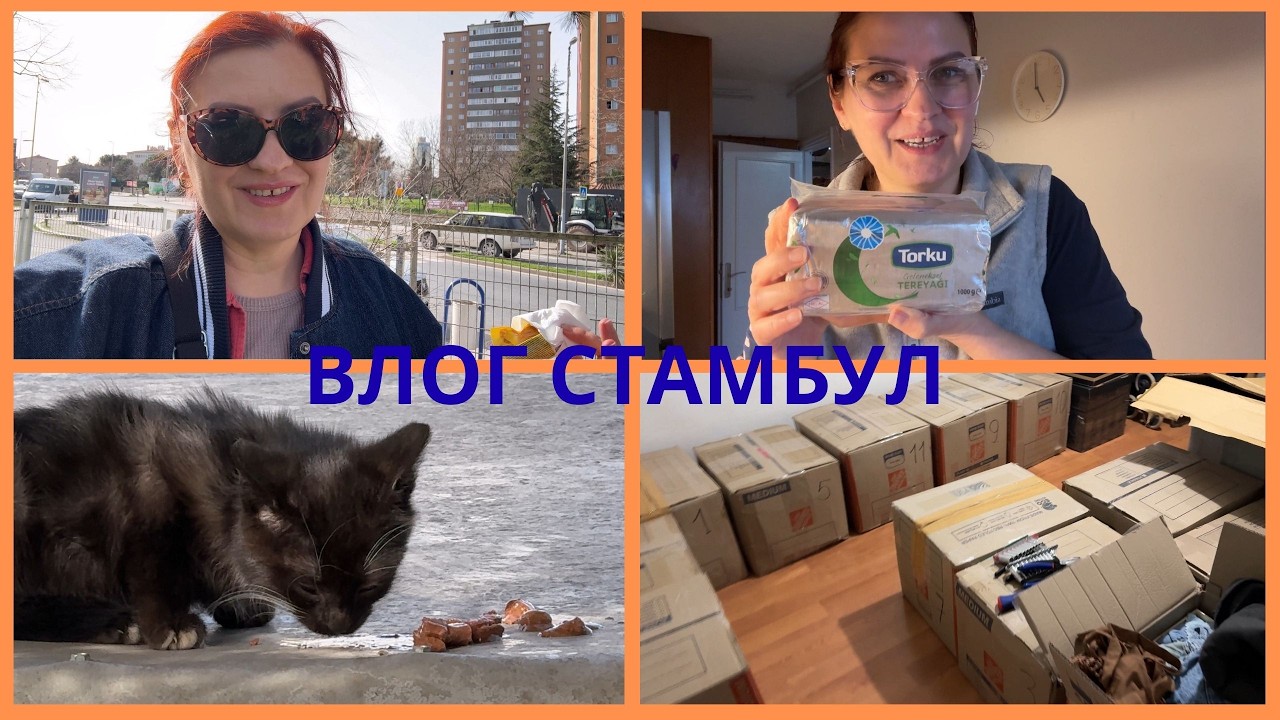 Котик / Небольшой шоппинг / КОРОБКИ доставили