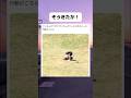 ワンさんのワガママに付き合わせるw#おすすめ #面白い #twitter