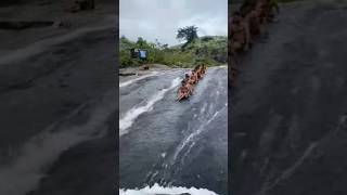 Patna-Deniyaya Sri Lanka