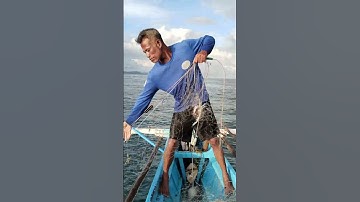 Fishing fun in Philippines netfishing #fishing  #shorts #shortvideo #viralvideo