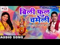Omprakash Amrit Hits Navami Geet | बेली फूल चमेली फूल दवानावा | Maa Ka Dil | Bhojpuri Song 2017