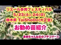 リエール多肉フェスティバル🎪栃木県 TaiShoDo(大正堂)お勧め販売苗紹介🌱✨2026年5月22日
