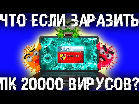 Что если заразить компьютер 20000 BИPУCAМИ?