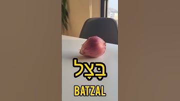 How to say  onion in Hebrew🧅🇮🇱 #prohebrew #ulpan #tlvculture #Hebrewlesson #HebrewWords #hebreo