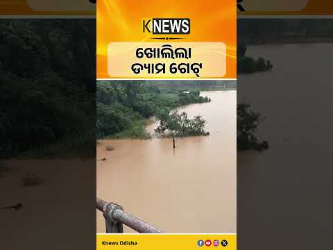 ଲଗାଣ ବର୍ଷାରେ ଖୋଲିଲା ମାଛକୁଣ୍ଡ ଡ୍ୟାମର ଗୋଟିଏ ଗେଟ #knewsodisha