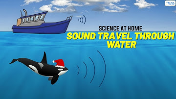 How Does Sound Travel through Water? | Easy Science Experiment | #science #scienceproject