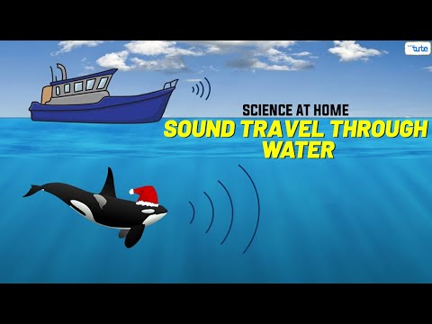 How Does Sound