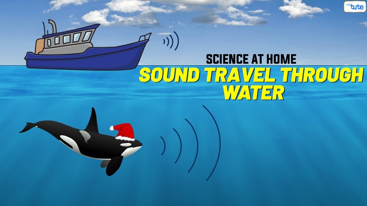 sound travel in water