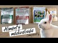 Mon lapin teste des aliments mdicaliss critical care emeraid