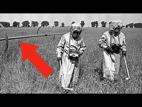 ის, რაც ჩერნობილის ტყეში აღმოაჩინეს გამაოგნებელია!