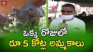 ఒక్క రోజులో రూ.5 కోట్ల అమ్మకాలు | hmtv Agri