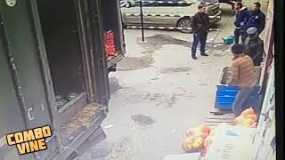 Combo Vine 9