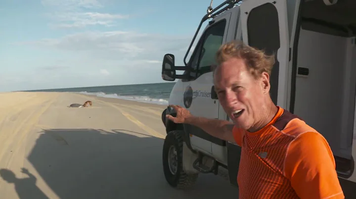 Travel Oz with Greg Grainger - Fraser Island