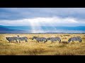 Ngorongoro crater tanzania africas garden of eden  best wildlife safari in the world