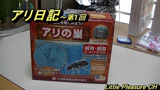 【アリ日記 #1】アリの巣観察セットでアリの巣を作りました。Ant diary, #1.