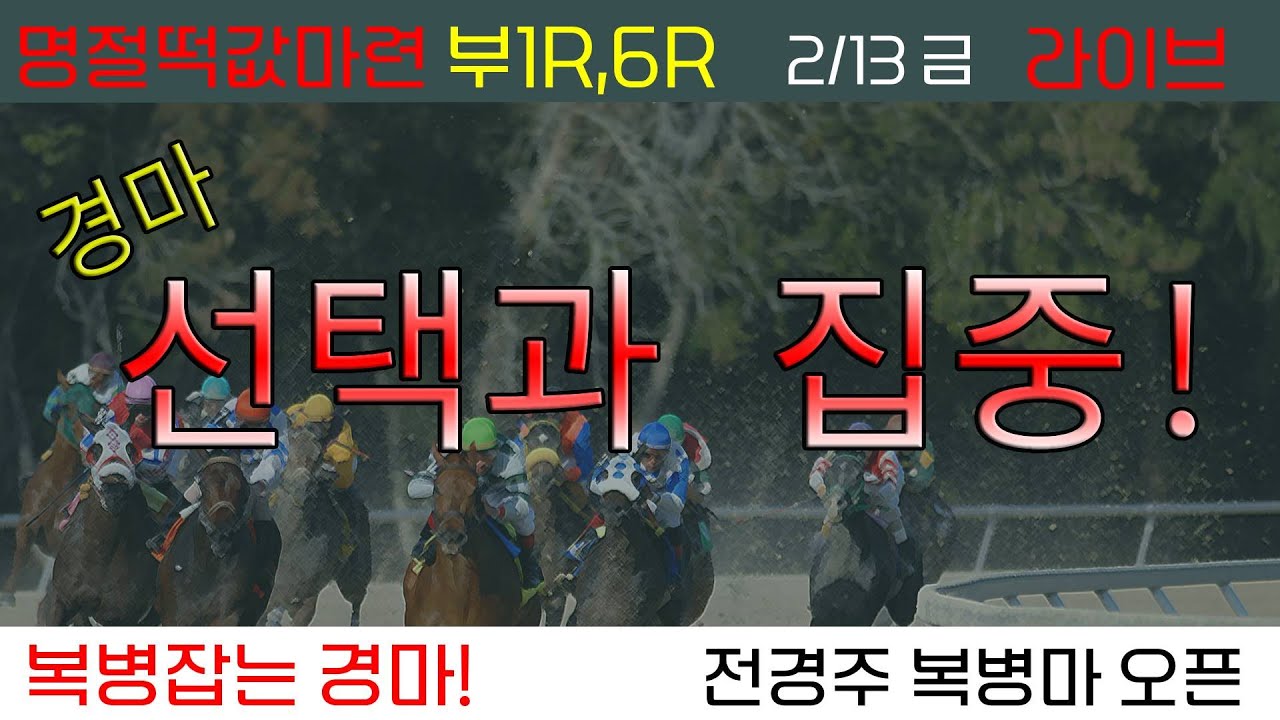 2/13(금) 경마 선택과 집중! 명절 떡값마련 부산 1경주먹고 시작!