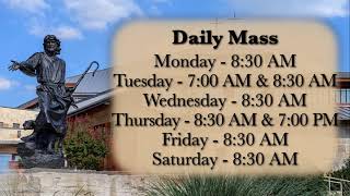 9am Mass: 15th Sunday in Ordinary Time