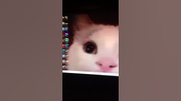 going to the annoying site