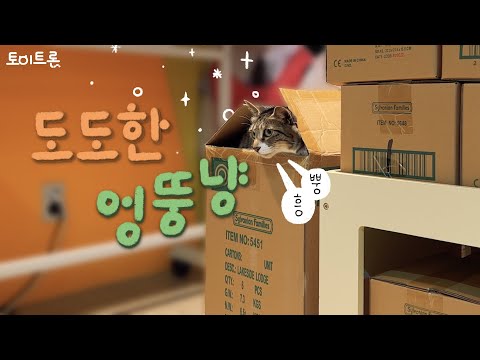 [장난감 나라의 트론이] EP. 329 <strong>도도한</strong> 엉뚱냥