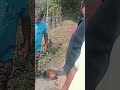 check the reason behind watersupply restrictions at Xeldem,Assolda some parts of Quepem municipality