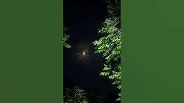 #القارئ ماهر المعيقلي