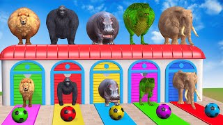 Long Slide Game With Cow Elephant Gorilla Hippopotamus Tiger - 3d Animal Game - Funny 3d Animals screenshot 5