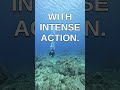 You Won't Believe Subnautica 2