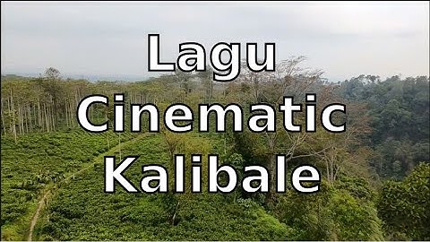Nikmati keindahan alam Perkebunan Teh Kalibale, Gandusari – Blitar!
