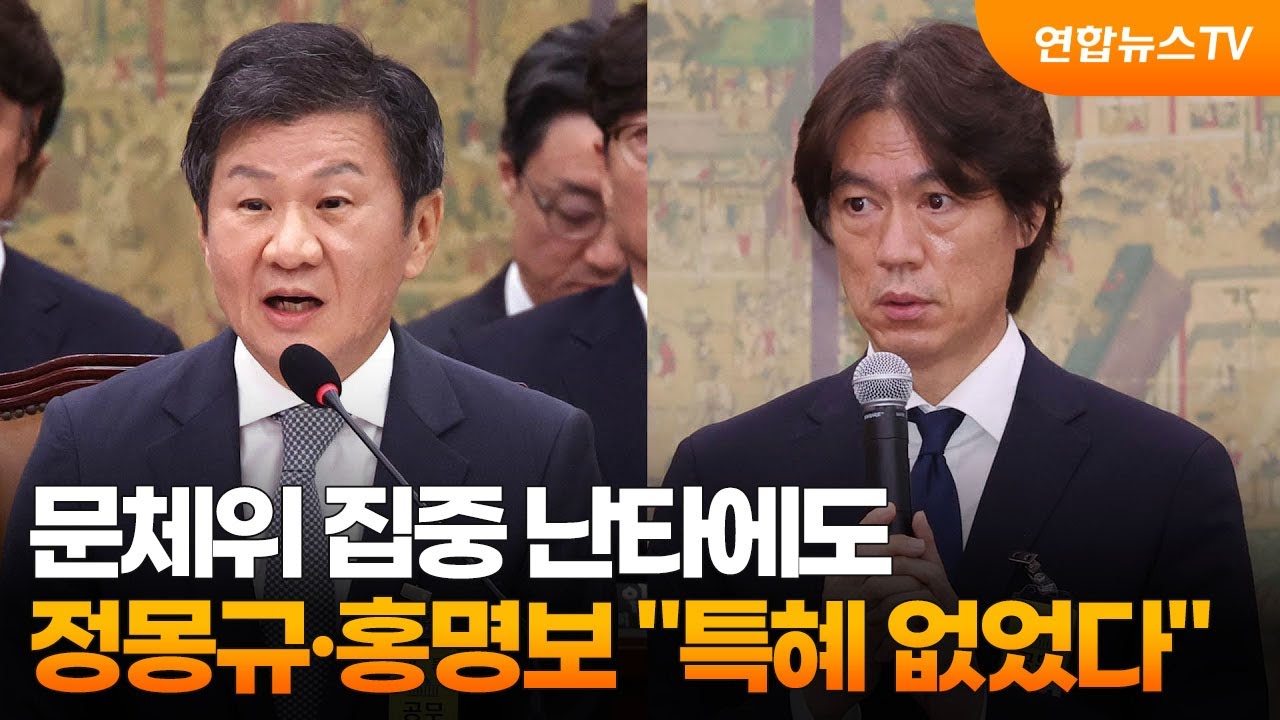 문체위 집중 난타에도 정몽규·홍명보 "특혜 없었다" / 연합뉴스TV (YonhapnewsTV)