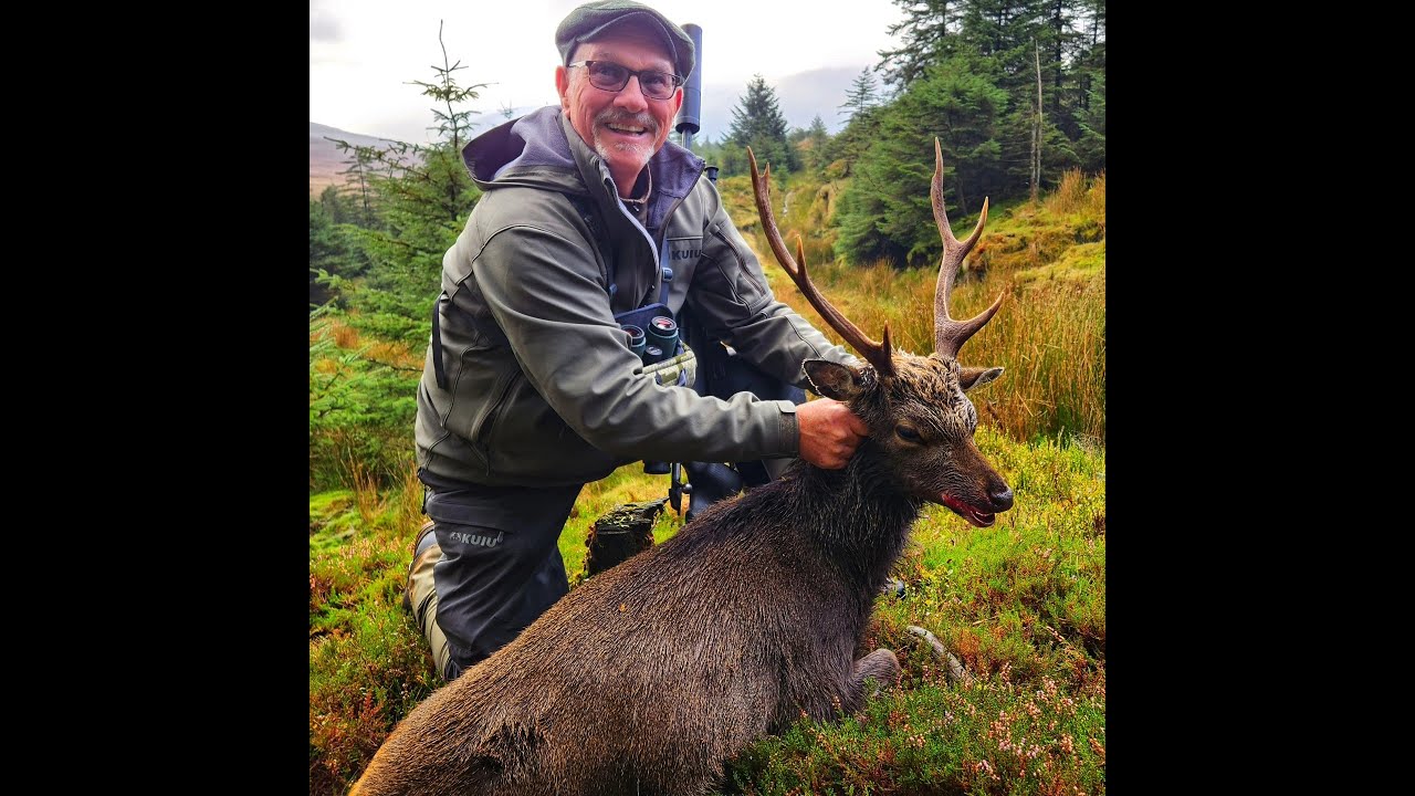 Свистящие олени Ирландии