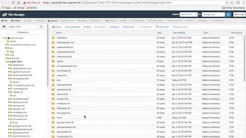 cPanel Tutorials  - File Manager