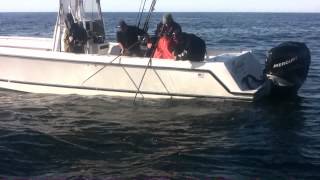 Jose Tuna Behind  the Scenes