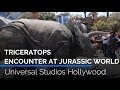 Triceratops Encounter at Jurassic World | Universal Studios Hollywood