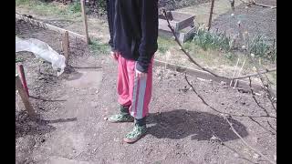 Level Best Horticulture (3)