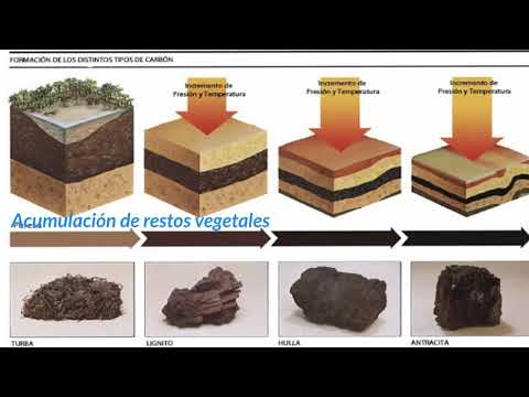Rocas sedimentarias - 1ESO